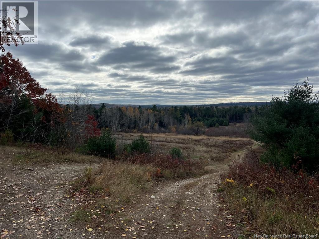 01 Hall Road, Mohannes, New Brunswick  E3L 5V8 - Photo 6 - NB129571