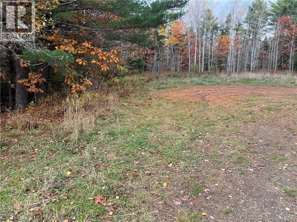 01 Hall Road, Mohannes, New Brunswick  E3L 5V8 - Photo 8 - NB129571