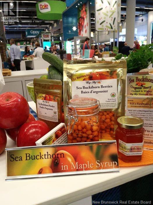 320 Red Bank Road, Chipman, New Brunswick  E4A 2B1 - Photo 17 - NB129588