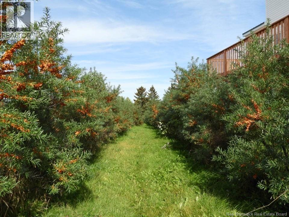 320 Red Bank Road, Chipman, New Brunswick  E4A 2B1 - Photo 12 - NB129583