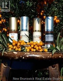 320 Red Bank Road, Chipman, New Brunswick  E4A 2B1 - Photo 14 - NB129583