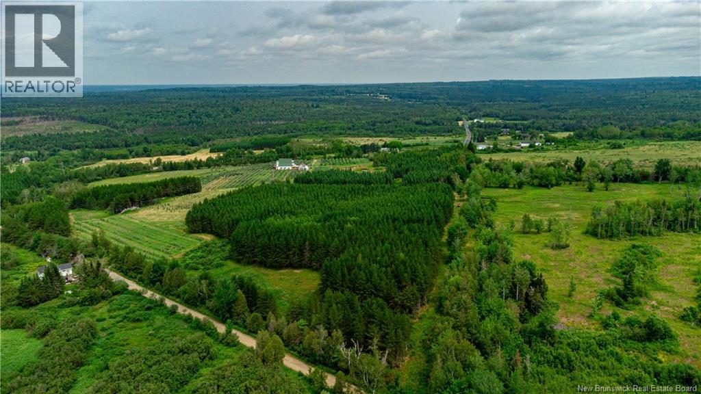 320 Red Bank Road, Chipman, New Brunswick  E4A 2B1 - Photo 47 - NB129583