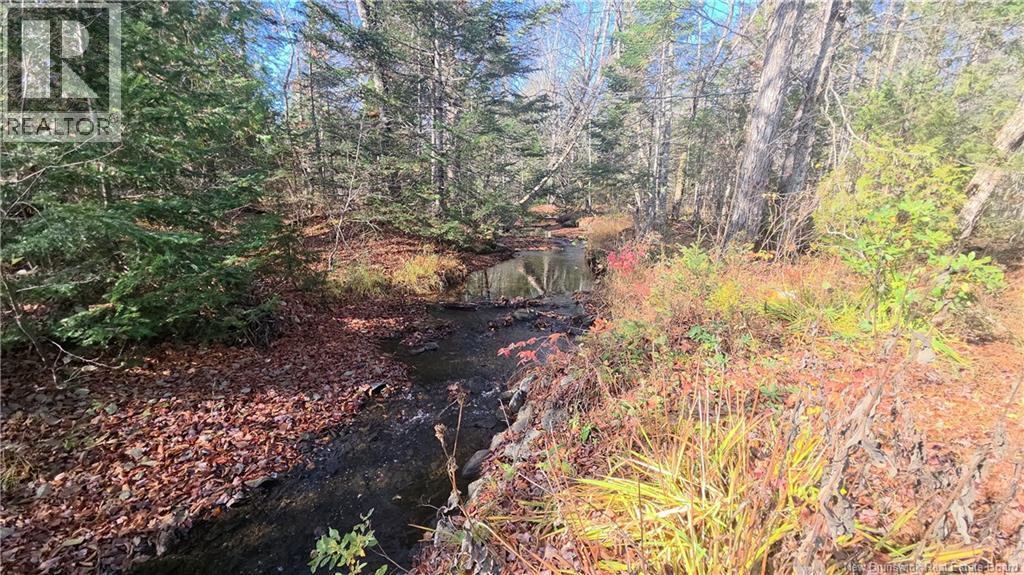 141 Grub Road, Middle Hainesville, New Brunswick E6E 1B3 - Photo 38 - NB129378