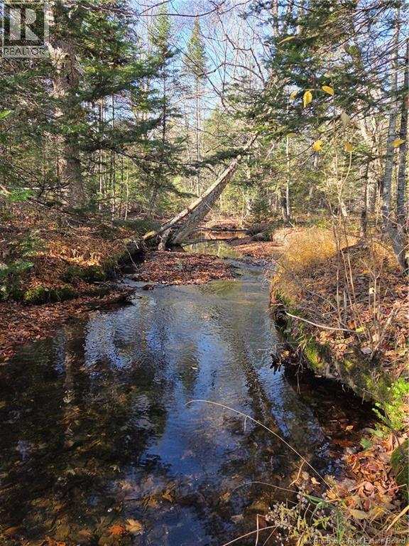 141 Grub Road, Middle Hainesville, New Brunswick E6E 1B3 - Photo 39 - NB129378