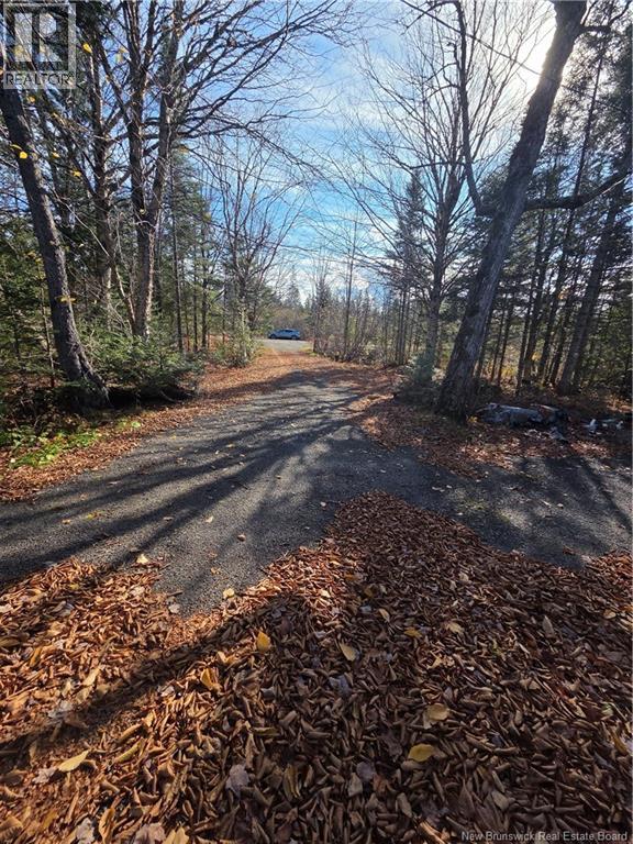 141 Grub Road, Middle Hainesville, New Brunswick E6E 1B3 - Photo 46 - NB129378
