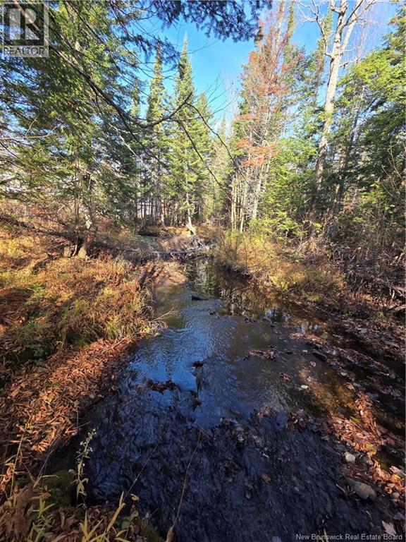 141 Grub Road, Middle Hainesville, New Brunswick E6E 1B3 - Photo 47 - NB129378