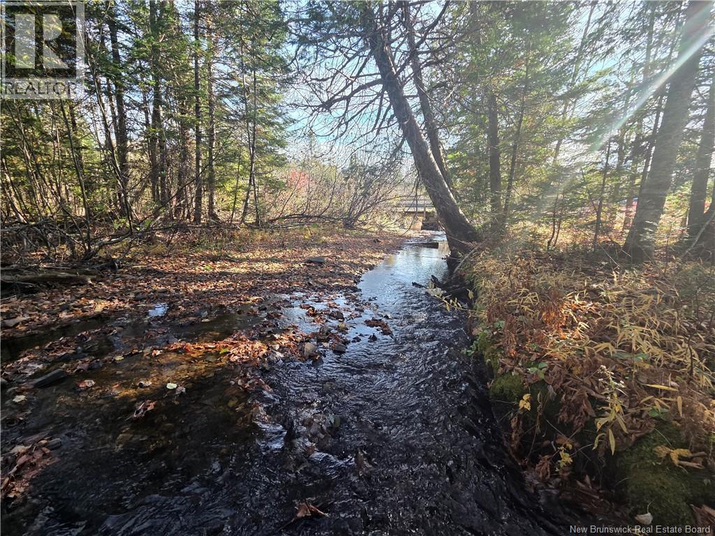 141 Grub Road, Middle Hainesville, New Brunswick E6E 1B3 - Photo 48 - NB129378