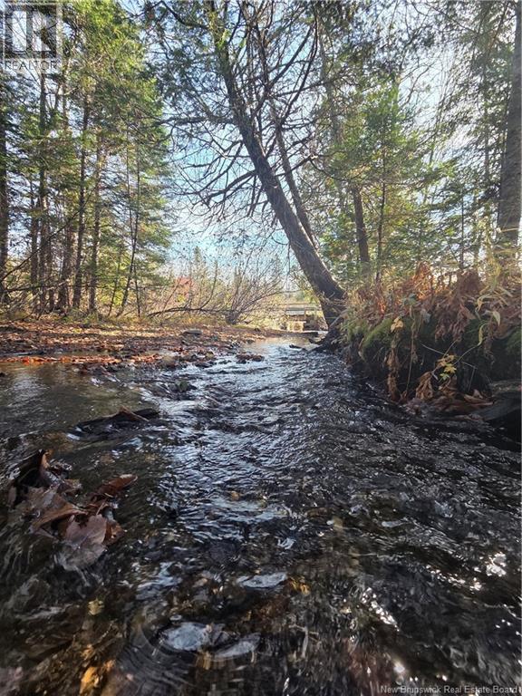 141 Grub Road, Middle Hainesville, New Brunswick E6E 1B3 - Photo 49 - NB129378