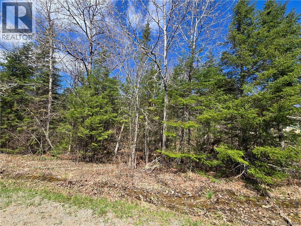 318 Ketchum Road, Kingston, New Brunswick  E5N 1S3 - Photo 4 - NB129617