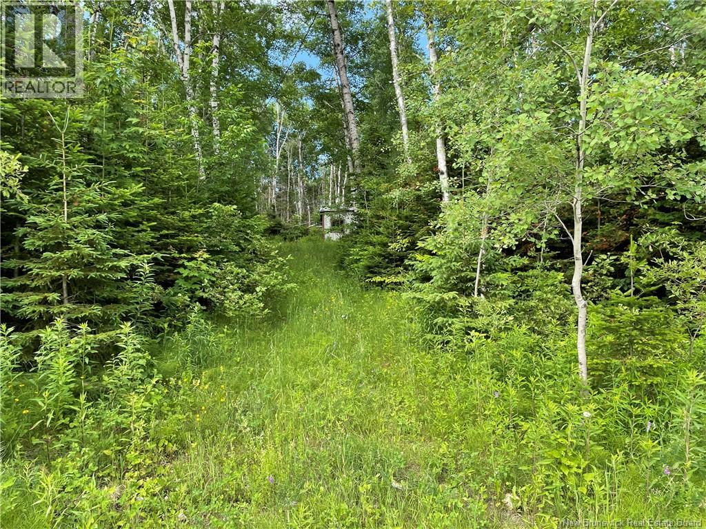 755 Cape Road, Newburg, New Brunswick  E7N 1W5 - Photo 3 - NB129632