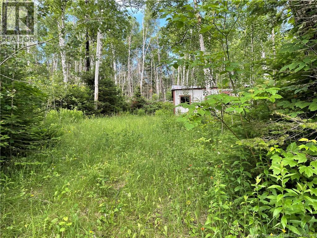 755 Cape Road, Newburg, New Brunswick  E7N 1W5 - Photo 4 - NB129632