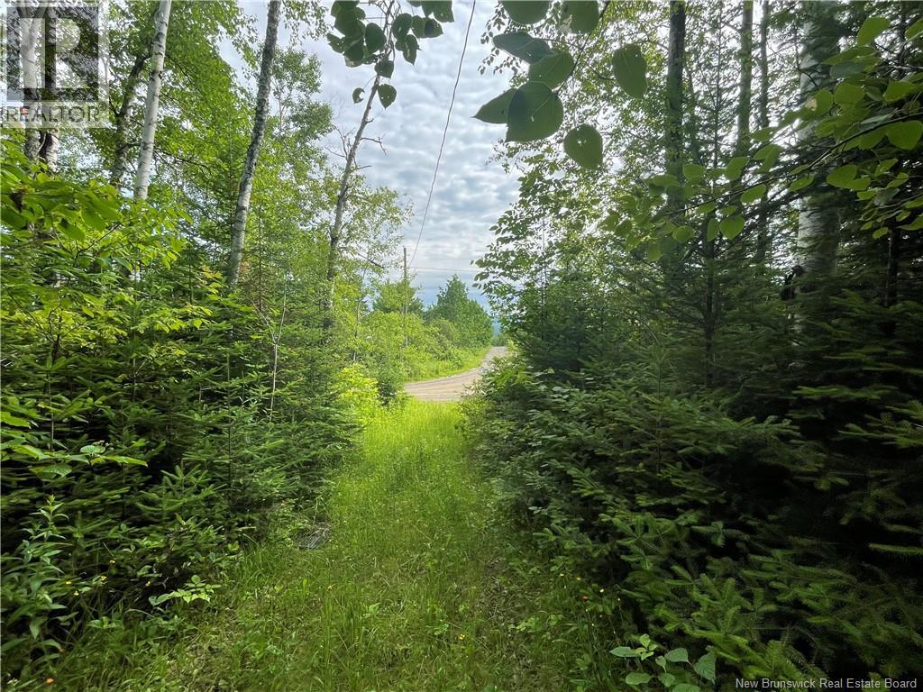 755 Cape Road, Newburg, New Brunswick  E7N 1W5 - Photo 7 - NB129632