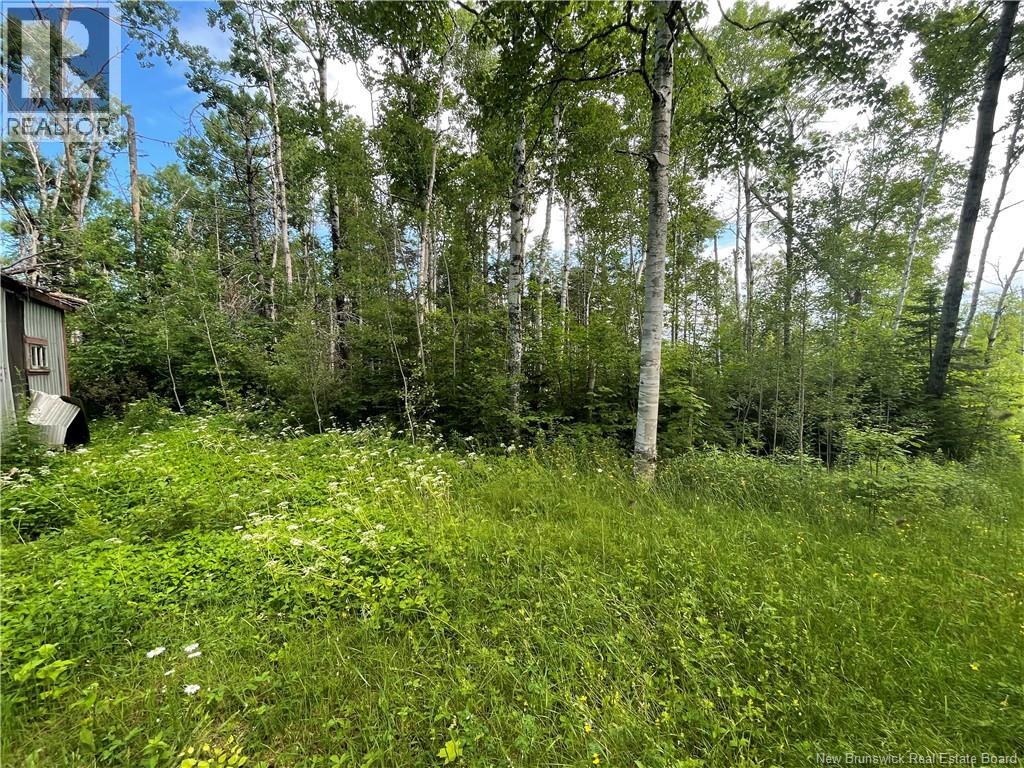 755 Cape Road, Newburg, New Brunswick  E7N 1W5 - Photo 9 - NB129632