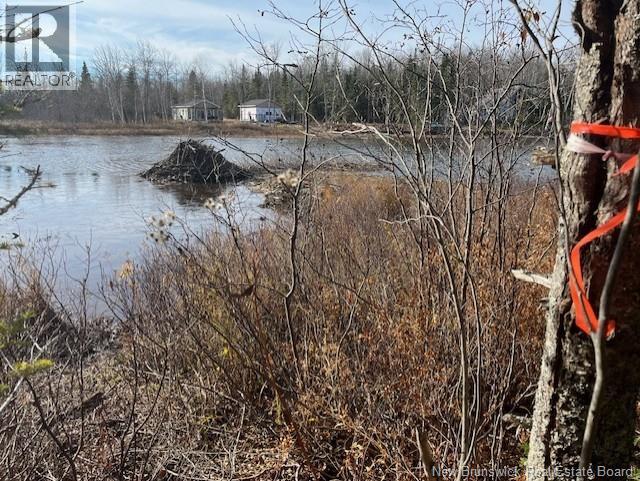 Lot 11-2 Hazen Lane, Lake George, New Brunswick E6K 2N9 - Photo 10 - NB129630