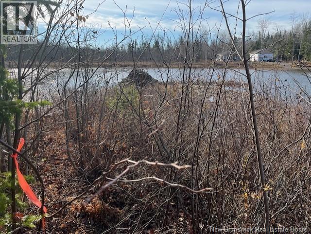 Lot 11-2 Hazen Lane, Lake George, New Brunswick E6K 2N9 - Photo 11 - NB129630
