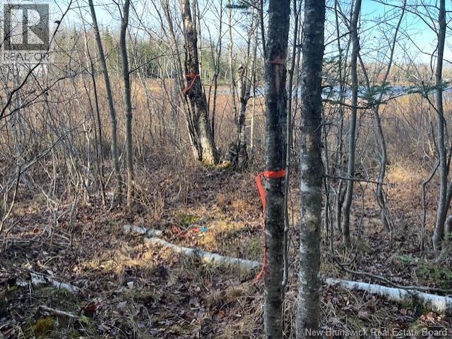 Lot 11-2 Hazen Lane, Lake George, New Brunswick E6K 2N9 - Photo 16 - NB129630