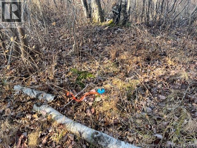 Lot 11-2 Hazen Lane, Lake George, New Brunswick E6K 2N9 - Photo 17 - NB129630