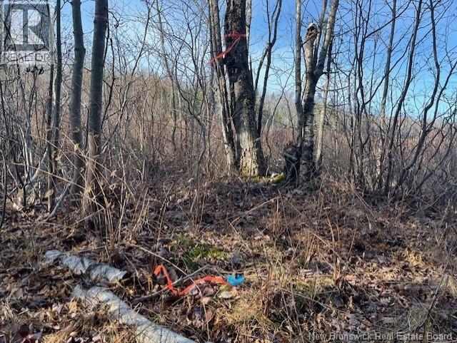 Lot 11-2 Hazen Lane, Lake George, New Brunswick E6K 2N9 - Photo 18 - NB129630