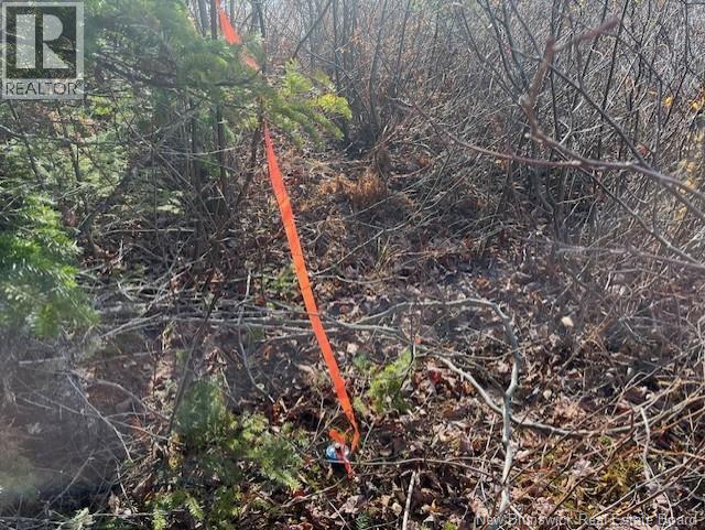 Lot 11-2 Hazen Lane, Lake George, New Brunswick E6K 2N9 - Photo 19 - NB129630