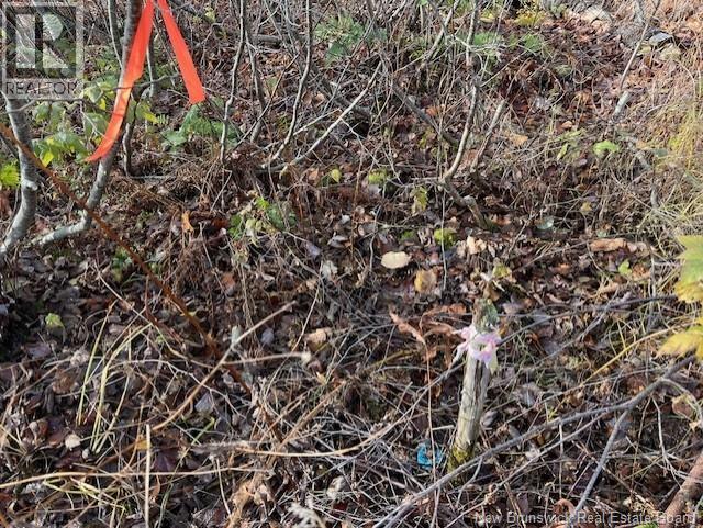 Lot 11-2 Hazen Lane, Lake George, New Brunswick E6K 2N9 - Photo 20 - NB129630