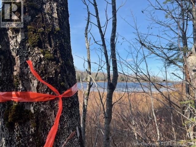 Lot 11-2 Hazen Lane, Lake George, New Brunswick E6K 2N9 - Photo 9 - NB129630