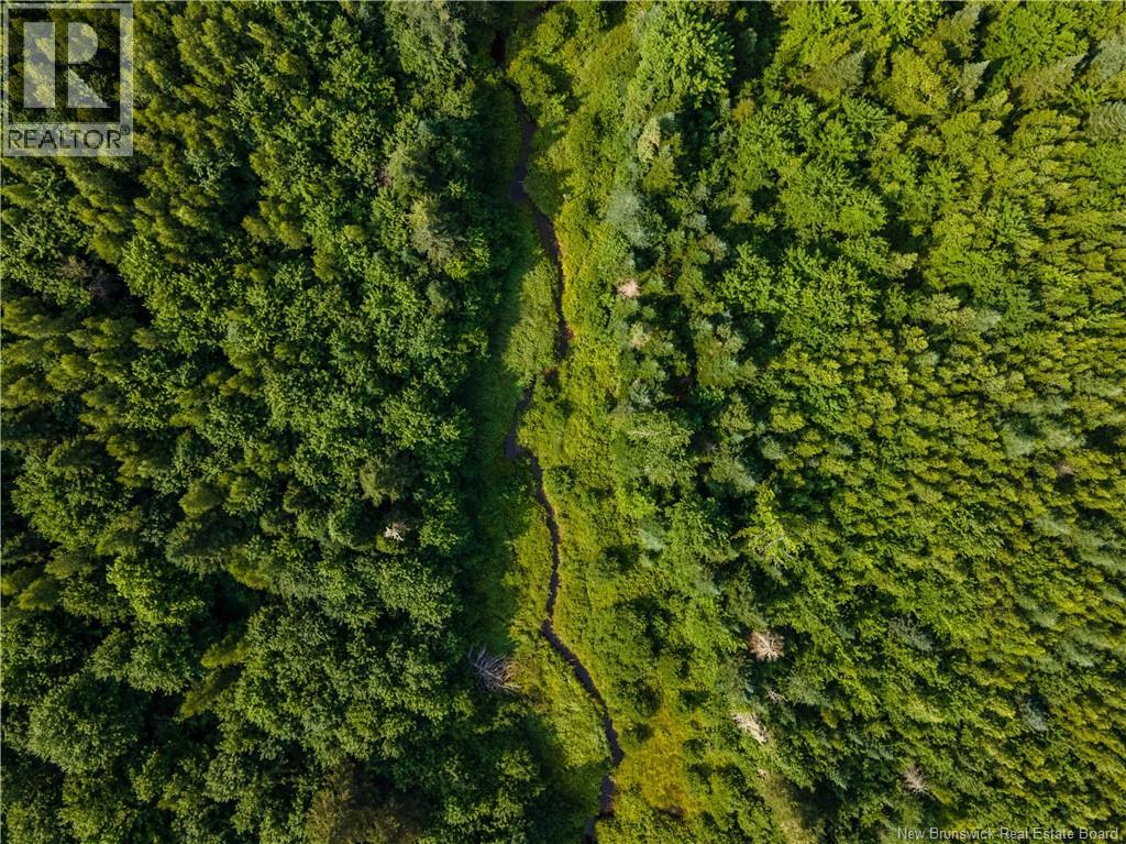 Na Village-Des-Cormer Road, Dundas, New Brunswick  E4T 3G7 - Photo 5 - NB129597