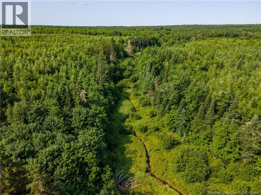 Na Village-Des-Cormer Road, Dundas, New Brunswick  E4T 3G7 - Photo 7 - NB129597