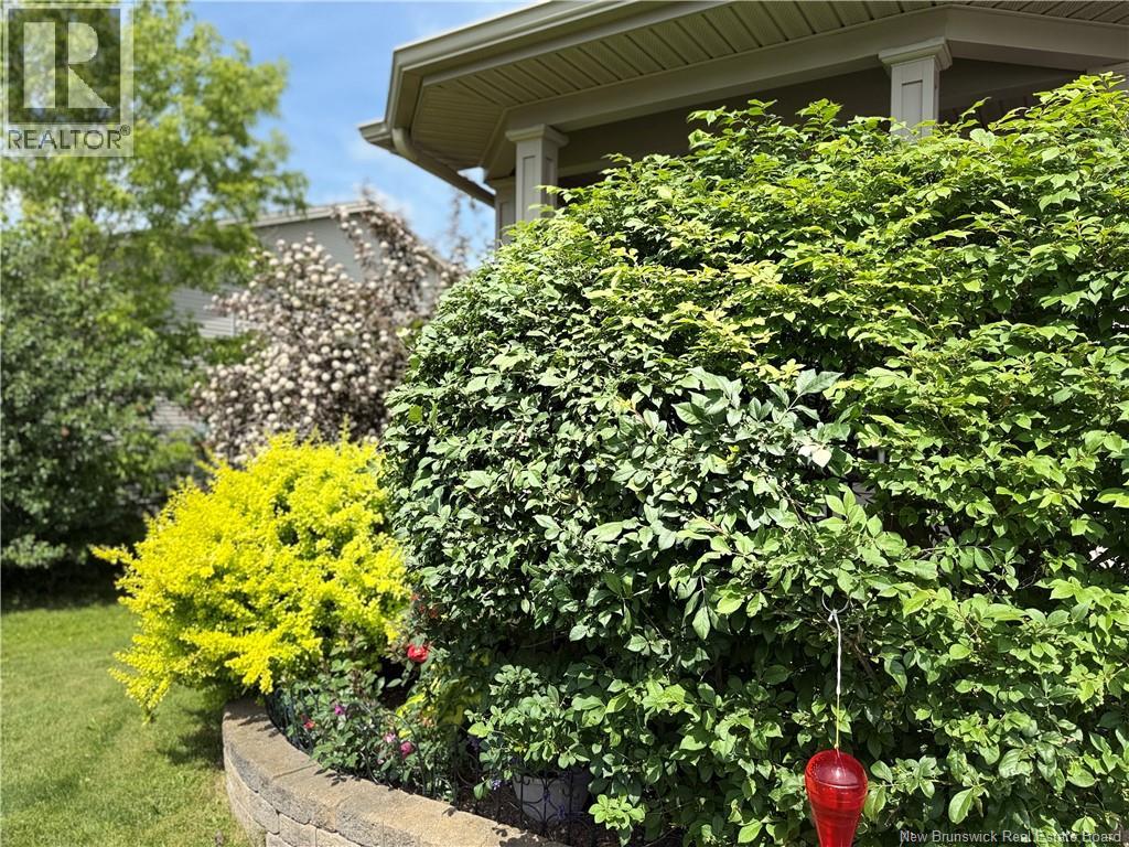 47 Newberry Street, Moncton, New Brunswick E1G 5M5 - Photo 31 - NB129659