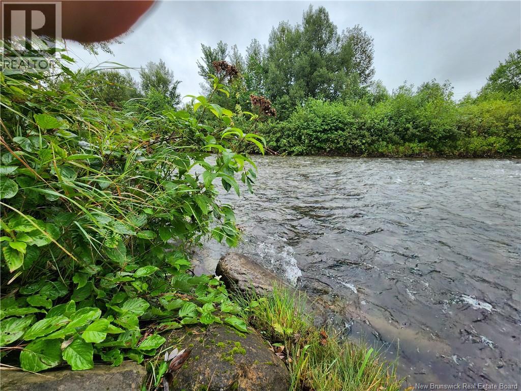 51 Ouellette Lane, New Denmark, New Brunswick E7G 2M3 - Photo 28 - NB129661