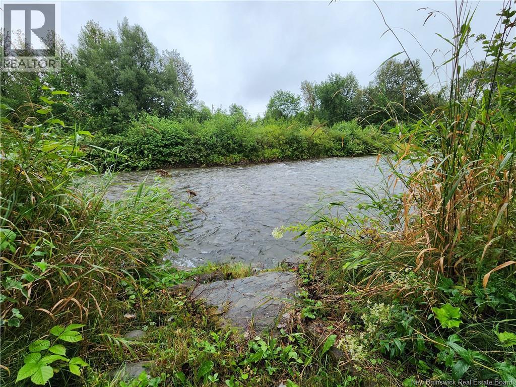 51 Ouellette Lane, New Denmark, New Brunswick E7G 2M3 - Photo 29 - NB129661