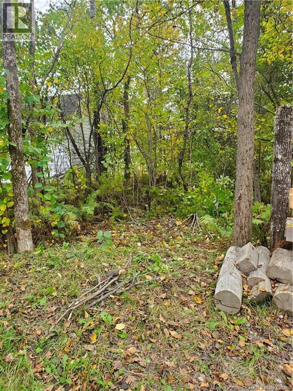 51 Ouellette Lane, New Denmark, New Brunswick E7G 2M3 - Photo 34 - NB129661