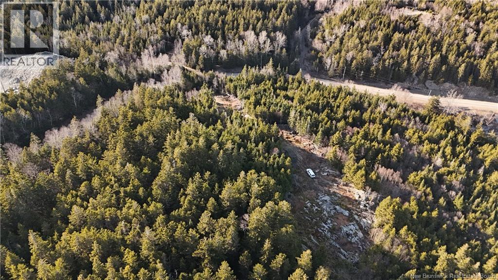 Lot Route 772, Hibernia Cove, New Brunswick E5V 1L7 - Photo 10 - NB129563