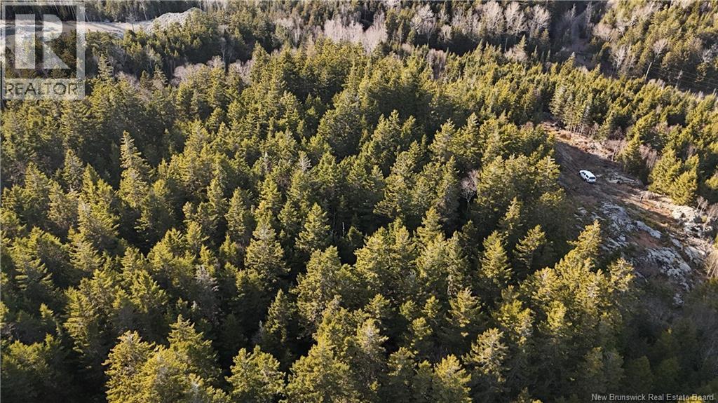 Lot Route 772, Hibernia Cove, New Brunswick E5V 1L7 - Photo 11 - NB129563