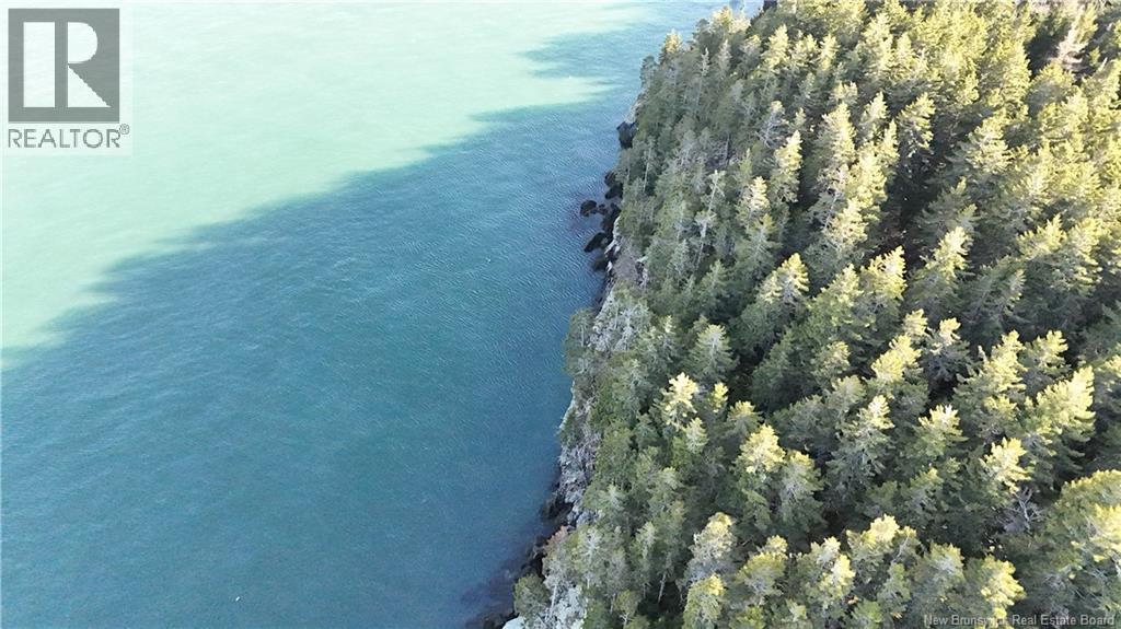 Lot Route 772, Hibernia Cove, New Brunswick E5V 1L7 - Photo 12 - NB129563