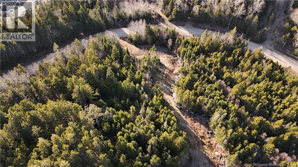 Lot Route 772, Hibernia Cove, New Brunswick E5V 1L7 - Photo 13 - NB129563