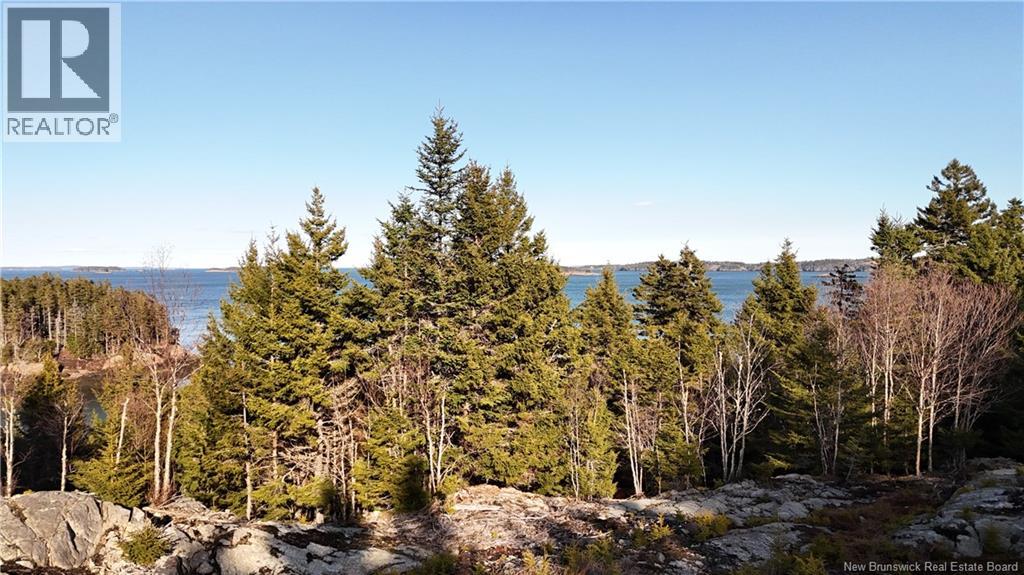Lot Route 772, Hibernia Cove, New Brunswick E5V 1L7 - Photo 2 - NB129563