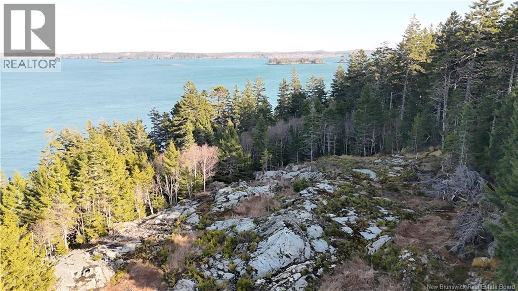 Lot Route 772, Hibernia Cove, New Brunswick E5V 1L7 - Photo 5 - NB129563