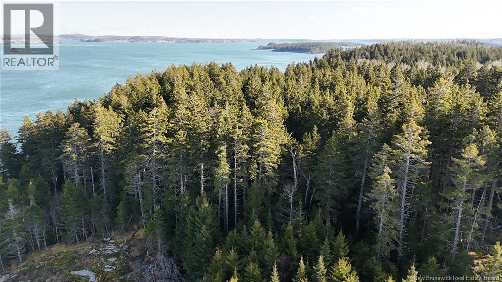 Lot Route 772, Hibernia Cove, New Brunswick E5V 1L7 - Photo 6 - NB129563