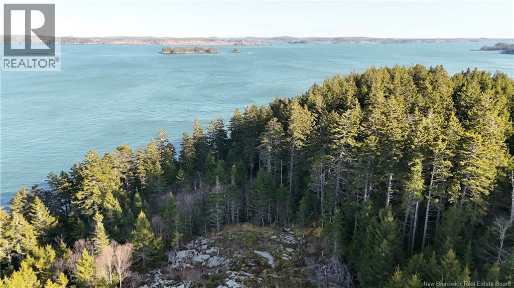 Lot Route 772, Hibernia Cove, New Brunswick E5V 1L7 - Photo 7 - NB129563