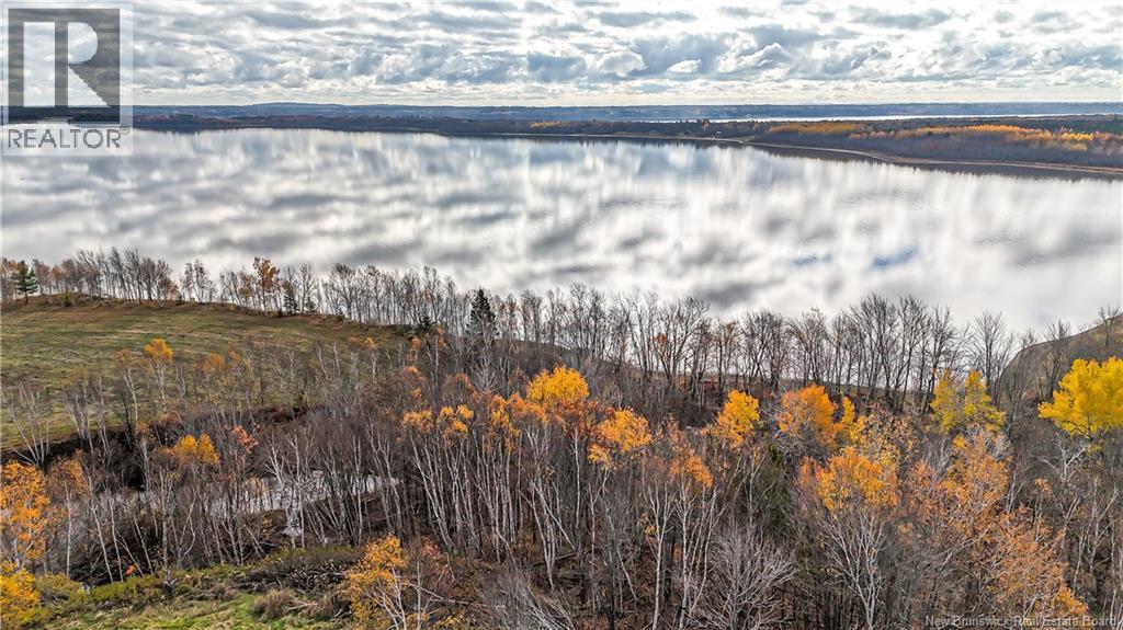 N/a Chapman Road, Newcastle Centre, New Brunswick  O0O 0O0 - Photo 6 - NB129552