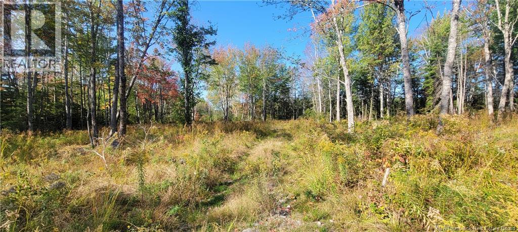 Lot Meadow Brook Road, Wirral, New Brunswick  E5L 2T8 - Photo 3 - NB129419