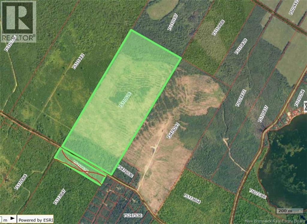 01 Old Springfield Road, Scotch Lake, New Brunswick E6E 0A3 - Photo 3 - NB129616