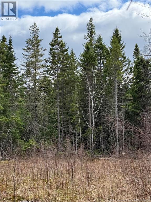 Land Route 515, Saint-Paul, New Brunswick  E4T 3T5 - Photo 3 - NB129703