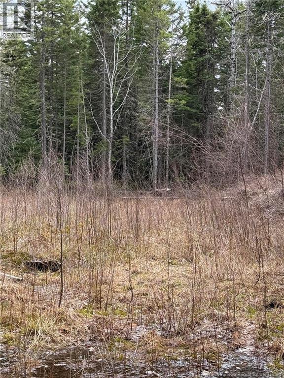 Land Route 515, Saint-Paul, New Brunswick  E4T 3T5 - Photo 7 - NB129703