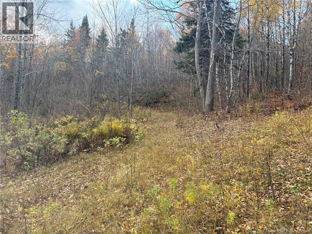 449 Harriet O'ree Road, Sussex, New Brunswick  E4E 0H2 - Photo 4 - NB128307