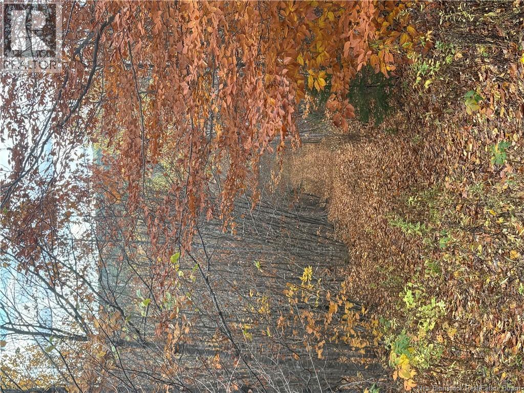 449 Harriet O'ree Road, Sussex, New Brunswick  E4E 0H2 - Photo 5 - NB128307