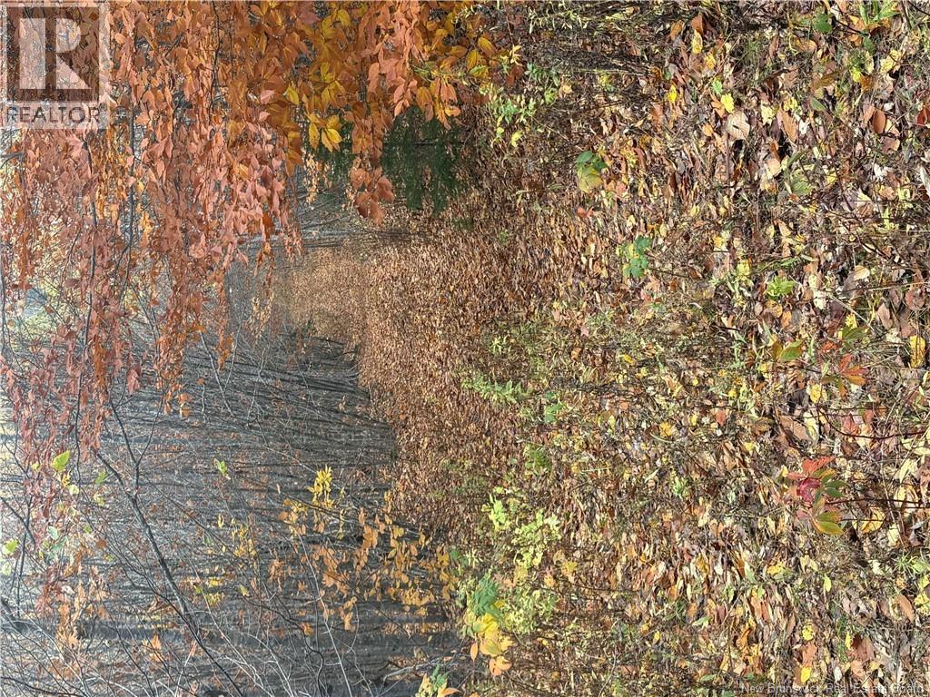 449 Harriet O'ree Road, Sussex, New Brunswick  E4E 0H2 - Photo 6 - NB128307