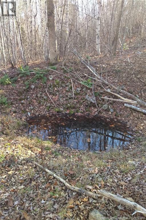 449 Harriet O'ree Road, Sussex, New Brunswick  E4E 0H2 - Photo 7 - NB128307