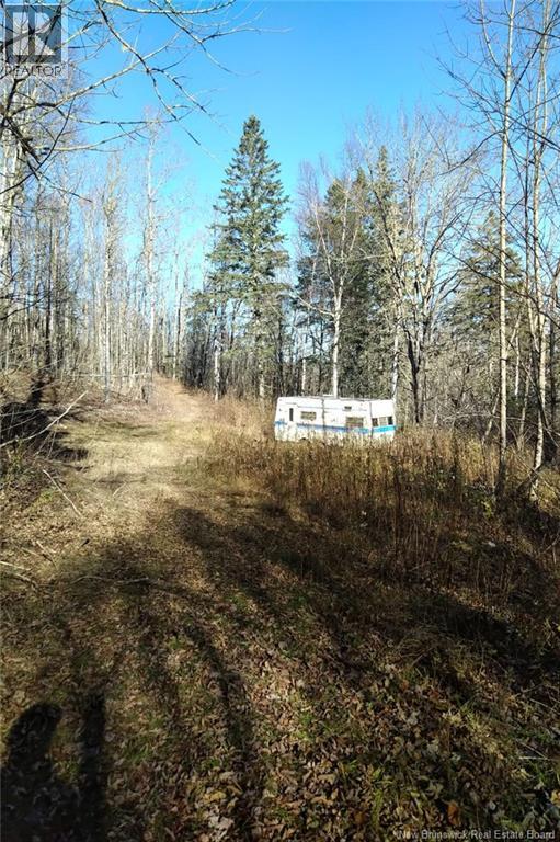 449 Harriet O'ree Road, Sussex, New Brunswick  E4E 0H2 - Photo 9 - NB128307