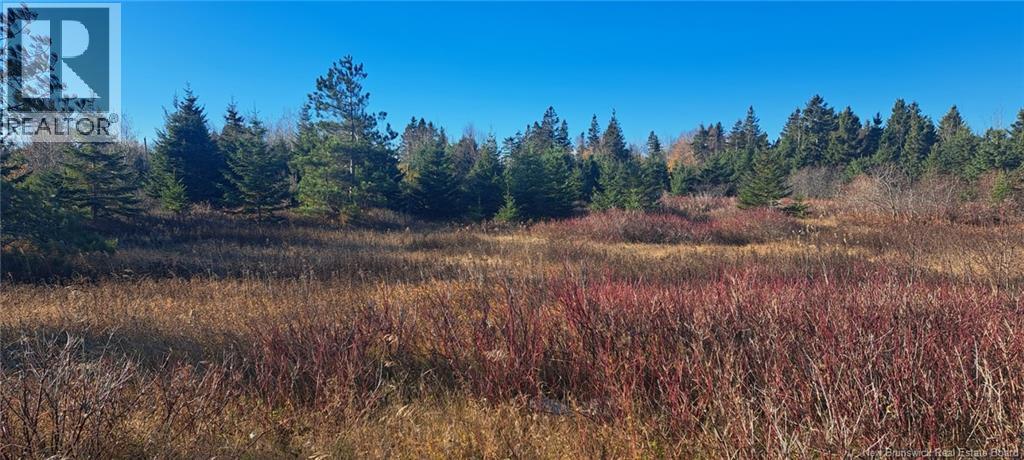 1.3 acres Route 113, Miscou, New Brunswick